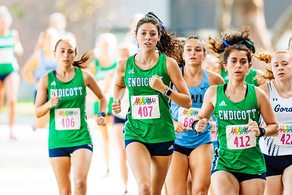 Endicott’s use of the collaborative high-performance training model for the Gulls is a standout in DIII athletics, supporting student-athletes to optimize their game and learn healthy skills for life.