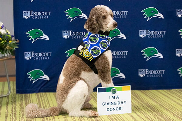 The Endicott College community rallied in record numbers to make Giving Day 2024 a record-breaking event with $623,700 raised to shape the future of the College.