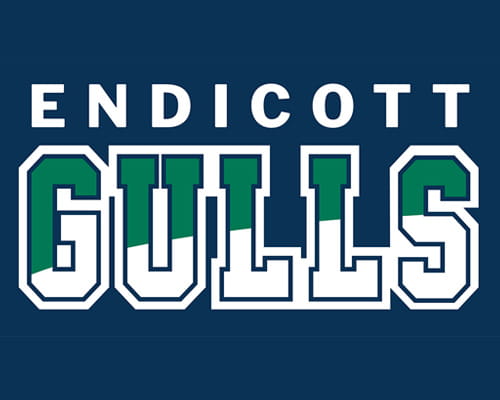 Endicott Gulls Typography on Dark