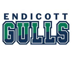 Endicott Gulls Typography
