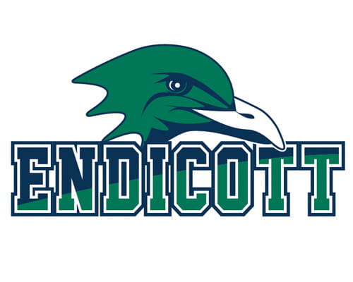 Endicott Typography with Logo