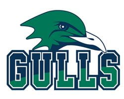 Gulls Typography with Logo