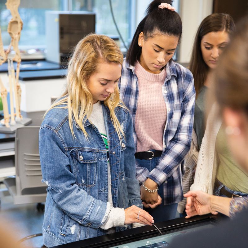 Endicott College students in lab