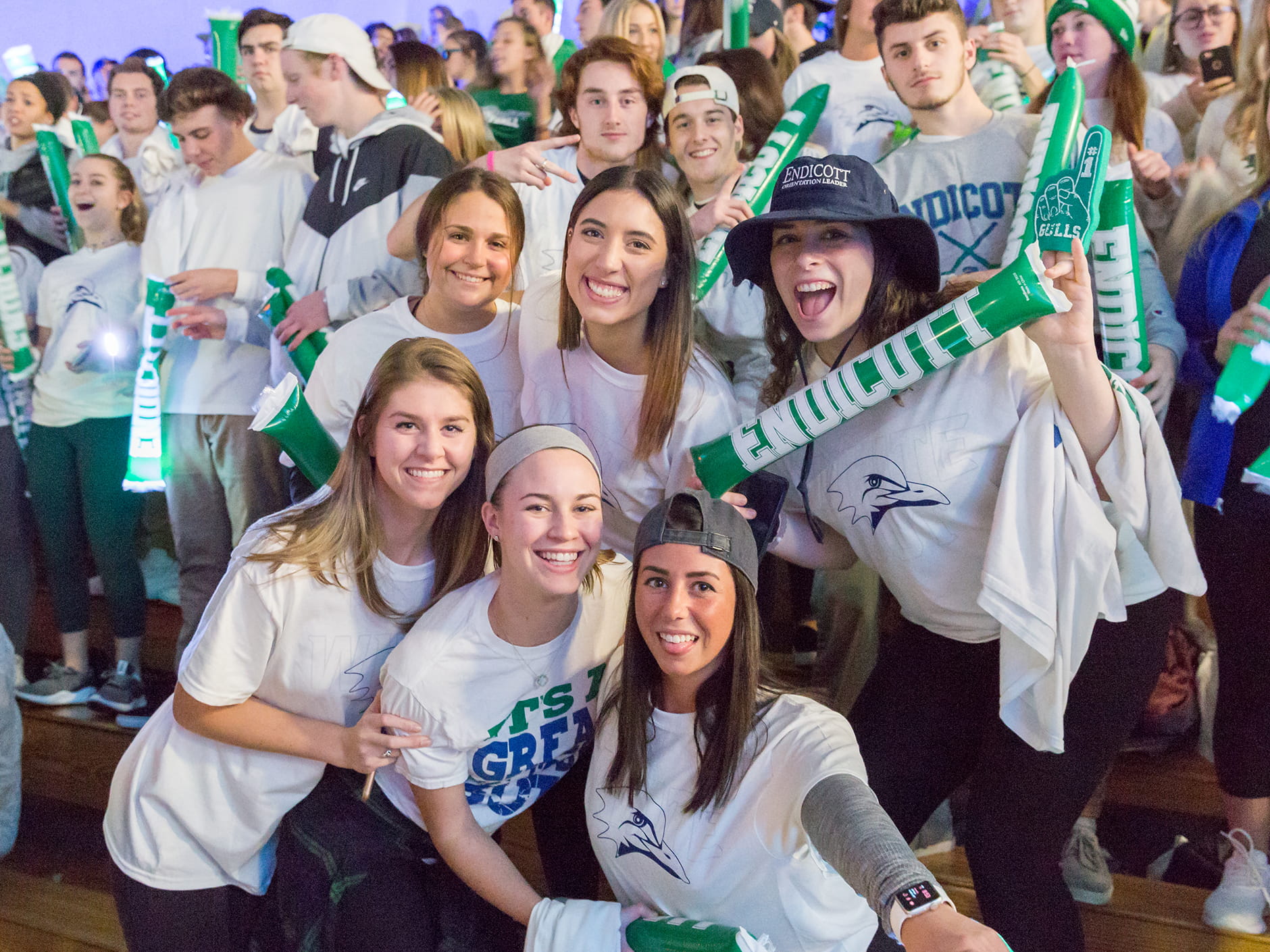 endicott college sweatshirt