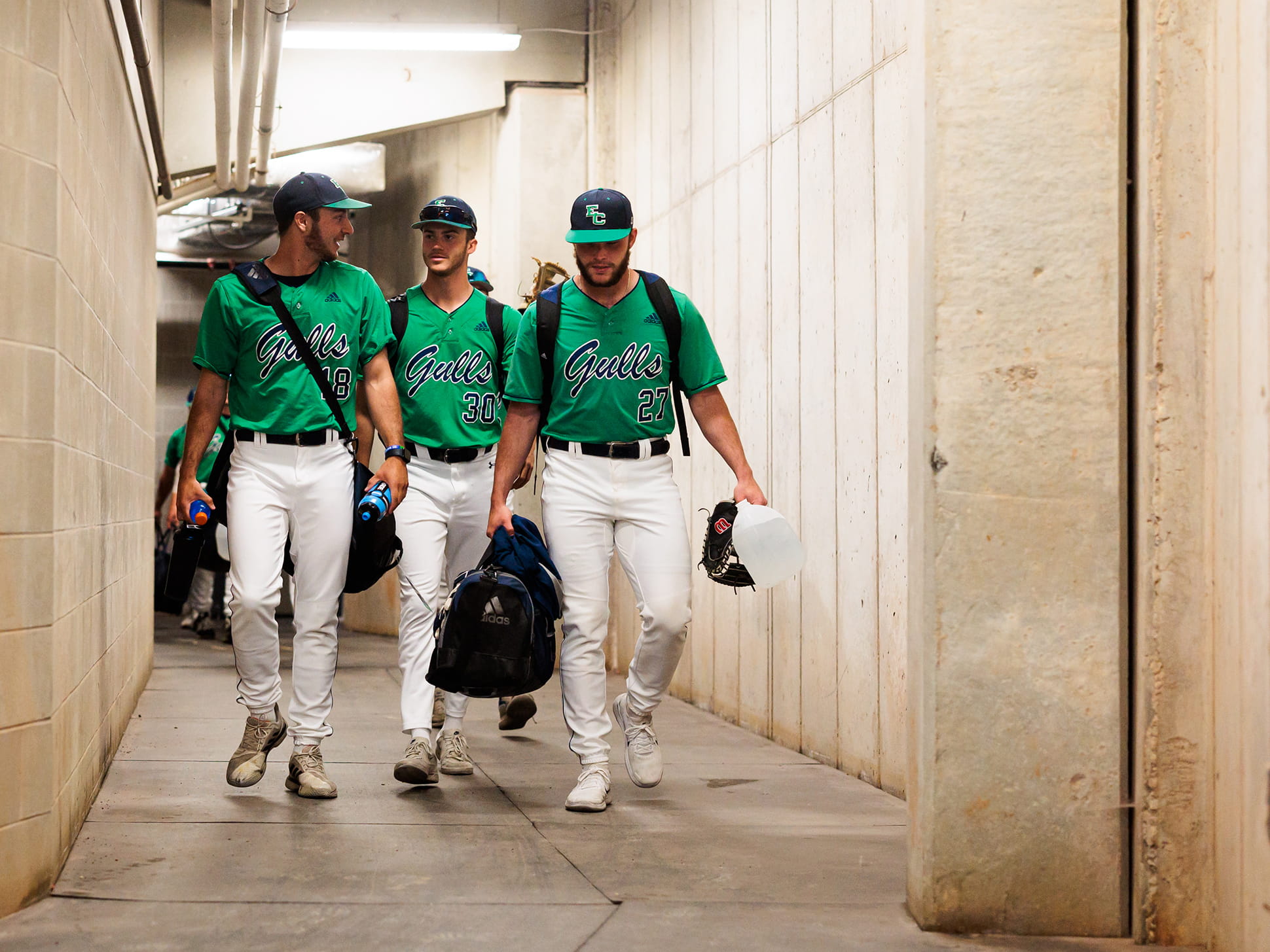 A Home Run Season for the Endicott Baseball Team Endicott College