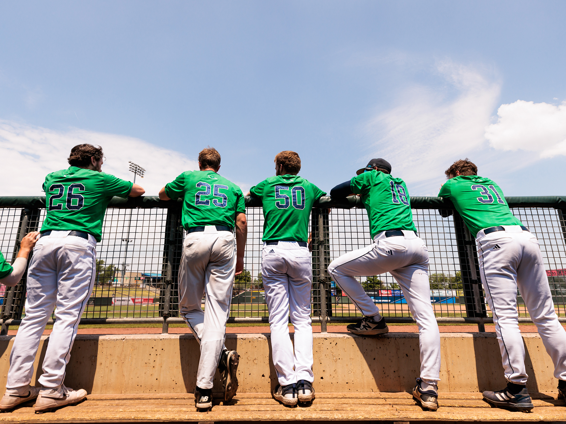 A Home Run Season for the Endicott Baseball Team Endicott College