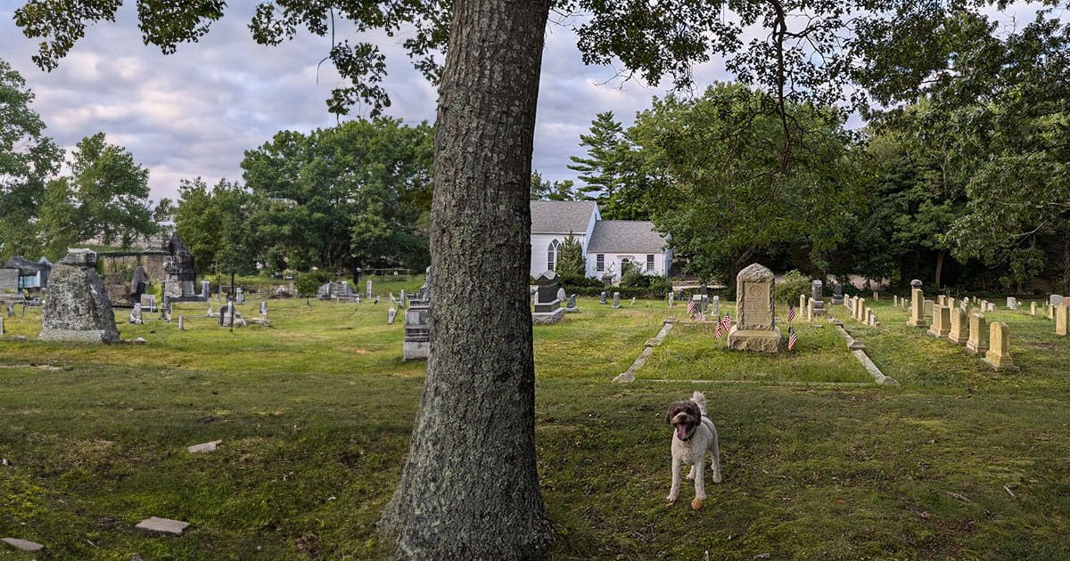 Rio Cemetery